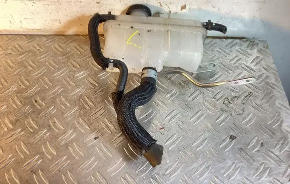 Lexus RX 450H Brake fluid reservoir 