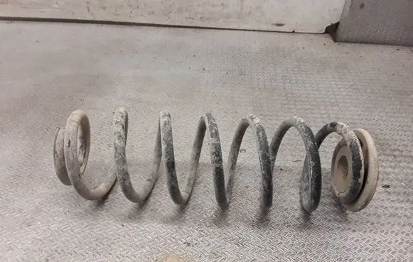 Volkswagen PASSAT B6 Rear coil spring