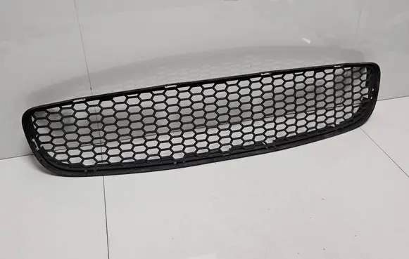 BMW M6 Front bumper lower grill 8050494 15857711