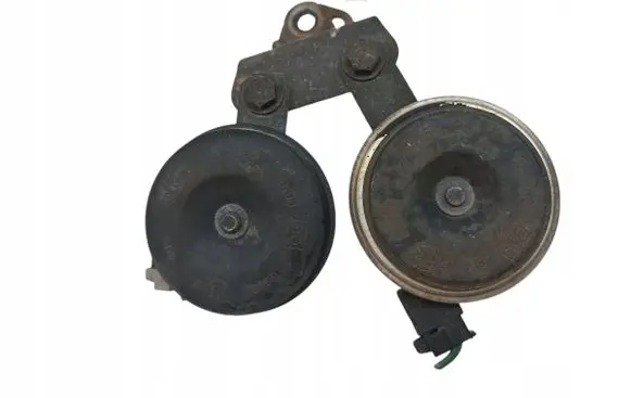 Horn signal