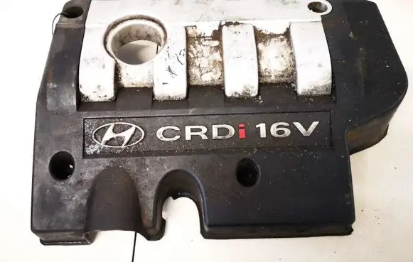 Hyundai Santa Fe Engine cover (trim)
