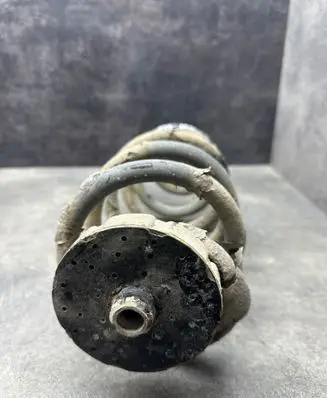 Rear coil spring