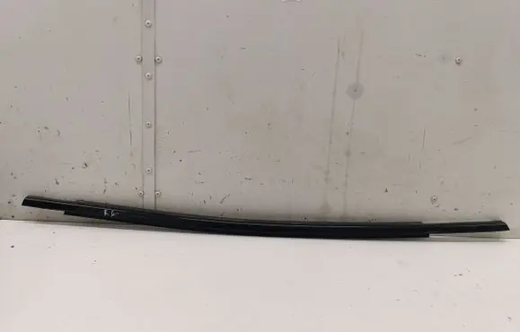 Ford Mustang Mach-E Rear door glass trim molding