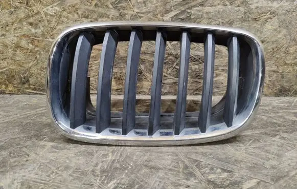 BMW X5M E70 Front grill 51137171395