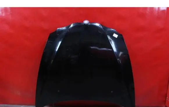 Engine bonnet/hood