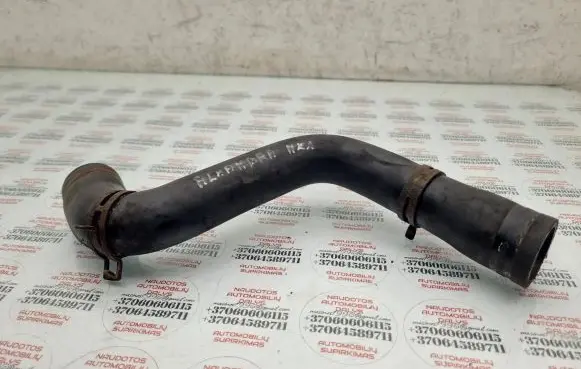 Seat Alhambra (Mk1) Engine coolant pipe/hose