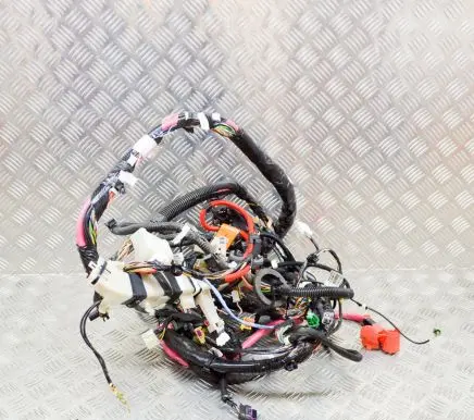 Tesla Model 3 Other wiring loom 35209867 106795500E