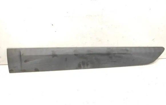 Renault Espace IV Rear door trim (molding) 8200095951B