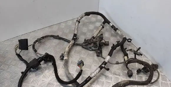Land Rover Range Rover L322 Other wiring loom 6W8T14603AA BH4216B116AA