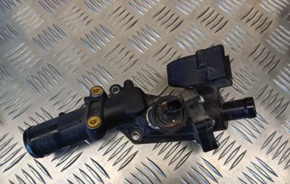 Thermostat/thermostat housing