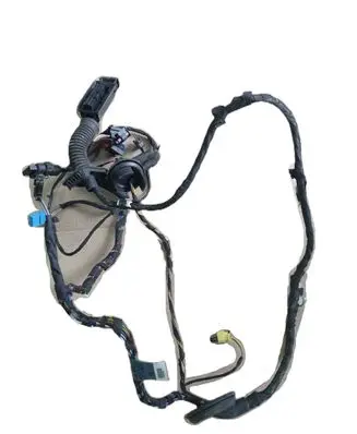 Rear door wiring loom