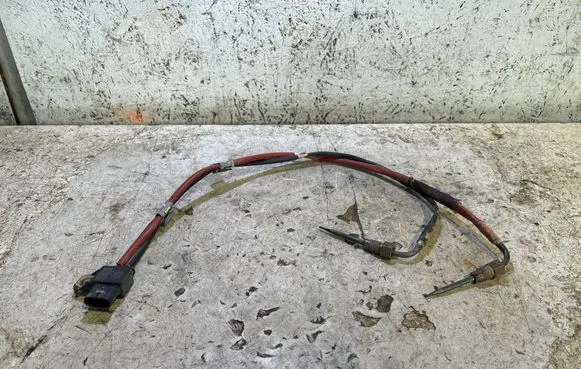Nissan Qashqai J12 Exhaust gas temperature sensor 226585317R 221932001003 B115018