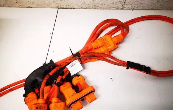 Audi Q4 e-tron Other wiring loom 1EA971013AJ