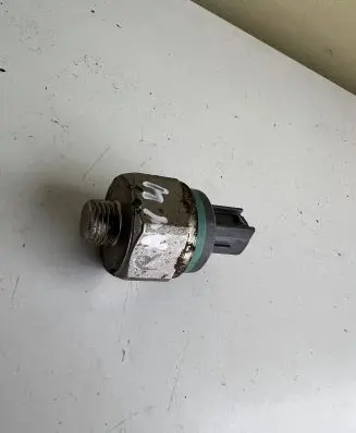 Toyota RAV 4 (XA20) Coolant temperature sensor 