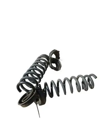 Rear coil spring