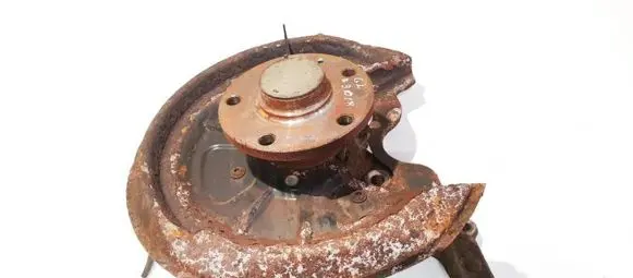 Skoda Octavia Mk2 (1Z) Rear wheel hub didzioji