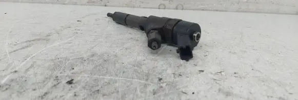 Peugeot 406 Fuel injector 0445110008 9635196580