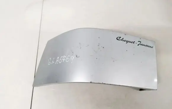 Rear/tail light trim molding