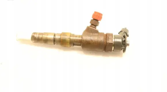 Citroen Berlingo Fuel injector 0445110566