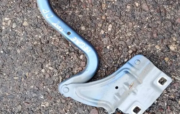 Renault Mégane Renault Sport III (IV Based) Engine bonnet/hood hinges 654002203R 0718