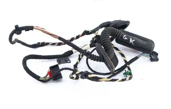 Volkswagen PASSAT CC Rear door wiring loom 3C8971693BK