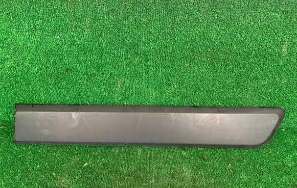 Rear door trim (molding)