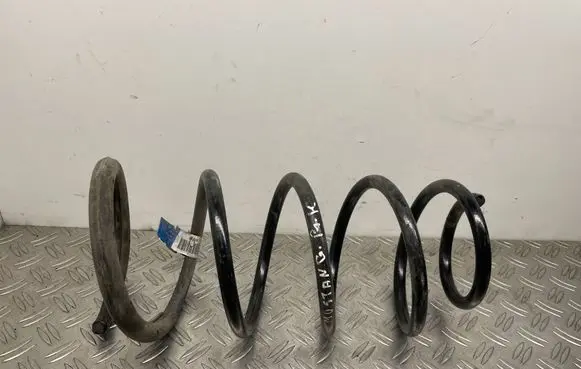 Ford Mustang V Front coil spring BR335310BB