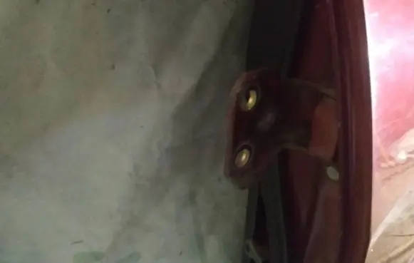Suzuki Liana Rear door lower hinge