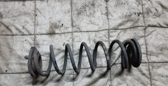 Skoda Octavia Mk2 (1Z) Rear coil spring