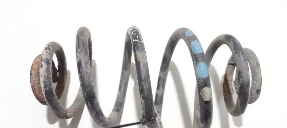 Volkswagen PASSAT B5 Rear coil spring