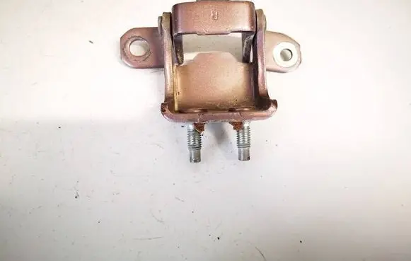 Nissan Pixo Rear door lower hinge