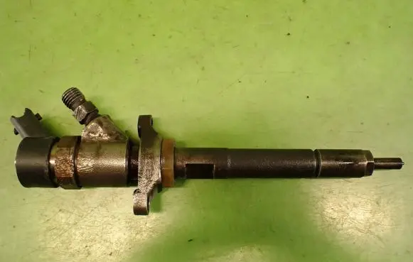 Citroen C4 I Fuel injector 0445110239