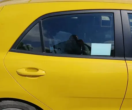 KIA Rio Rear door