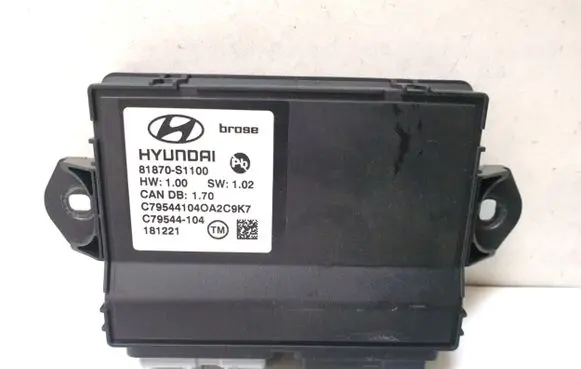 Hyundai Santa Fe Other control units/modules 81870S1100