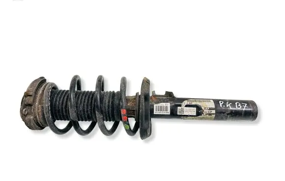 Volkswagen Tiguan Front shock absorber with coil spring 1B618016087 5N0413031AC