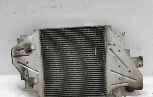 Renault Clio II Coolant radiator 8200252209