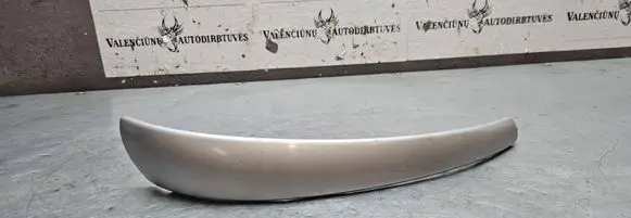 Other rear door trim element