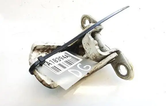 Nissan Juke I F15 Tailgate/trunk/boot hinge