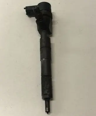 Opel Insignia A Fuel injector 0445110423 55577668