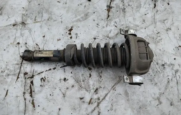 Volkswagen Touareg I Rear shock absorber/damper 7L6513029E