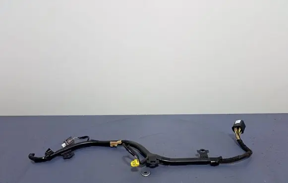 Ford Ecosport Other wiring loom