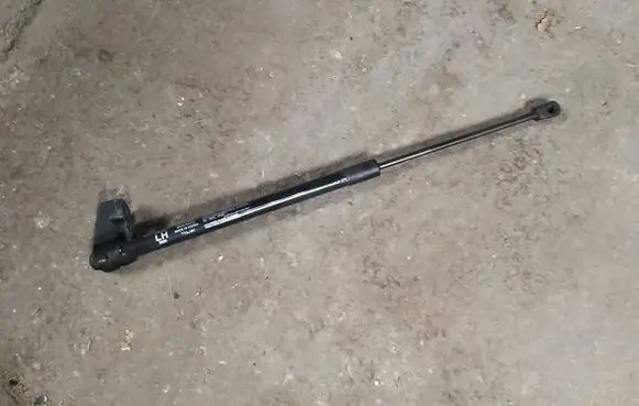 Tailgate/trunk strut/damper