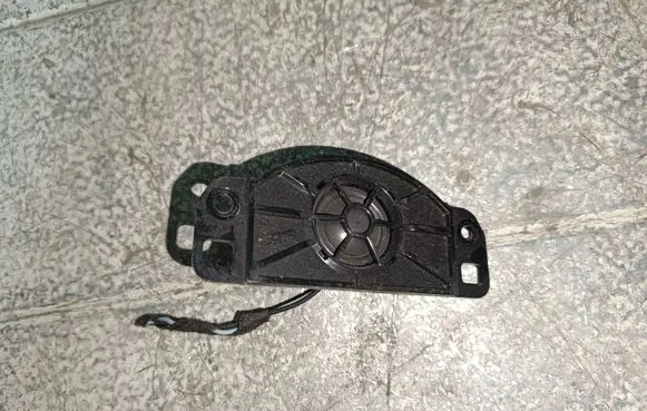 Panel speaker
