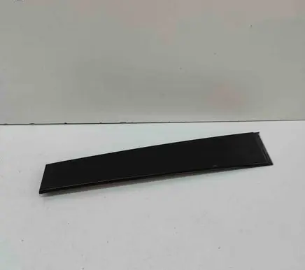 Rear door glass trim molding
