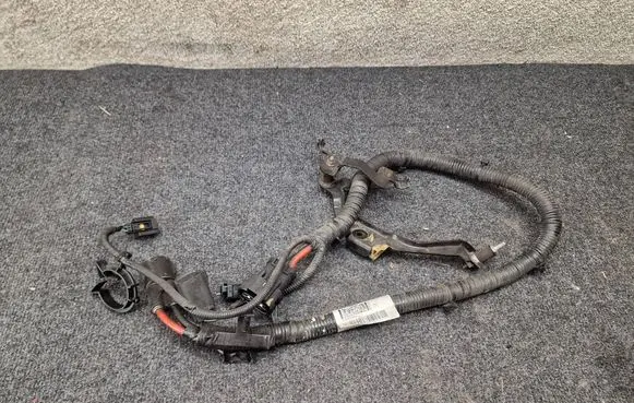 Other wiring loom