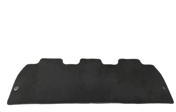Chrysler Pacifica Rear floor mat 