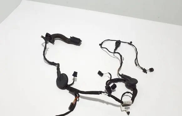 Other wiring loom