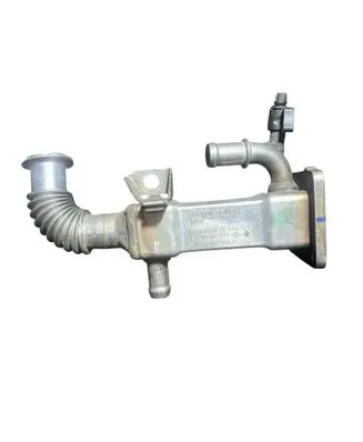 Renault Scenic II - Grand scenic II EGR valve cooler 7284300601 8200360566A 7700107471