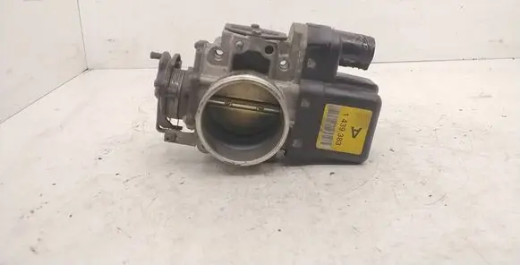 Throttle body valve