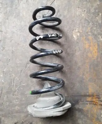 Rear coil spring